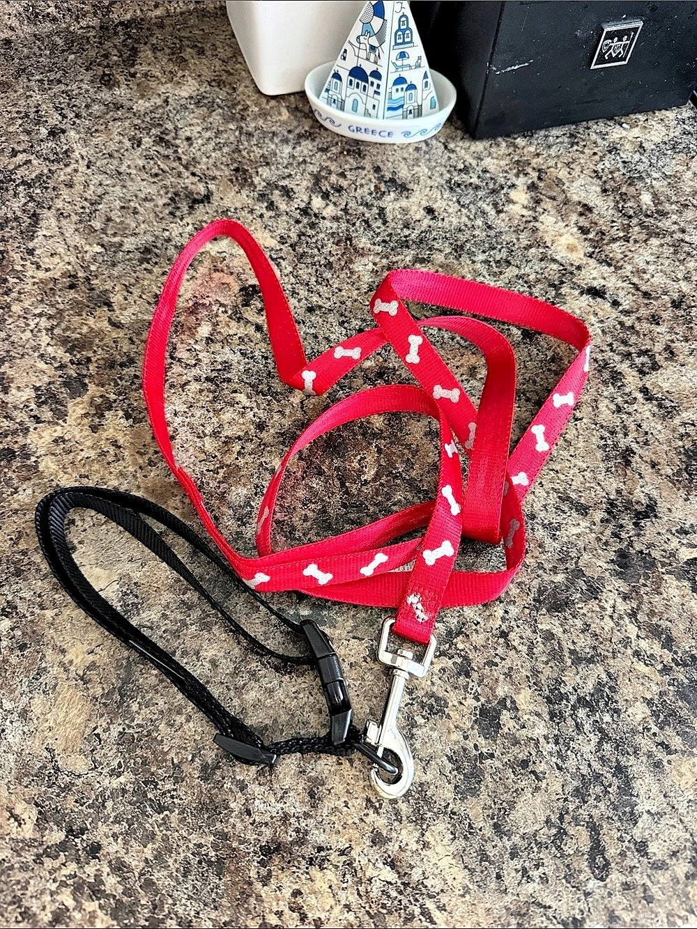 Red & Black Dog Collar Leash Set